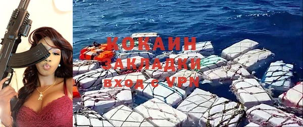 прущие грибы Богородицк