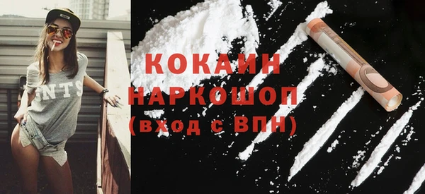 прущие грибы Богородицк