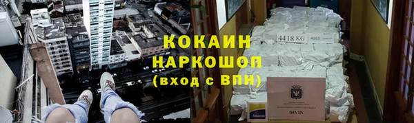прущие грибы Богородицк
